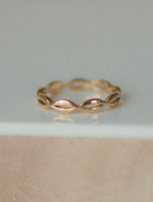 The Nova Ring
